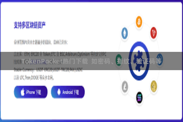 TokenPocket热门下载 如密码、指纹、验证码等
