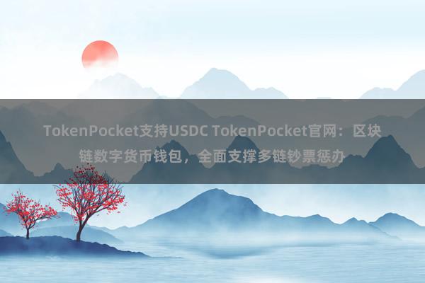 TokenPocket支持USDC TokenPocket官网：区块链数字货币钱包，全面支撑多链钞票惩办