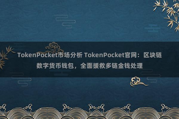 TokenPocket市场分析 TokenPocket官网：区块链数字货币钱包，全面援救多链金钱处理